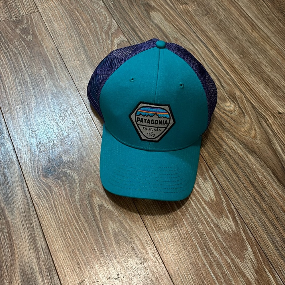 Patagonia ball cap